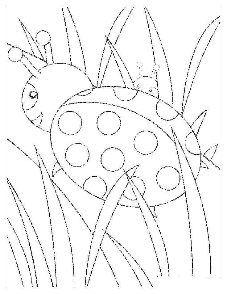 Coloring Ladybug. Category Ladybug. Tags:  Ladybug.