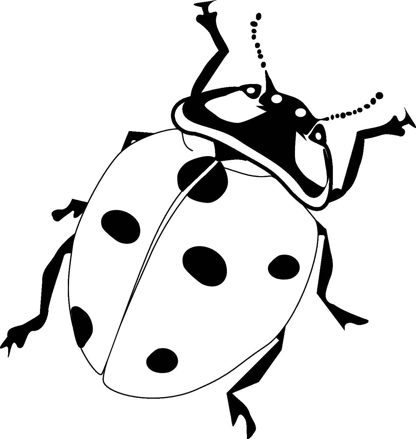 Coloring Ladybug. Category Insects. Tags:  Ladybug, beetle.