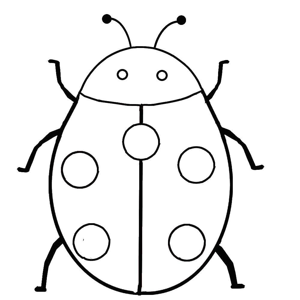 Coloring Ladybug. Category Ladybug. Tags:  insects, ladybugs.