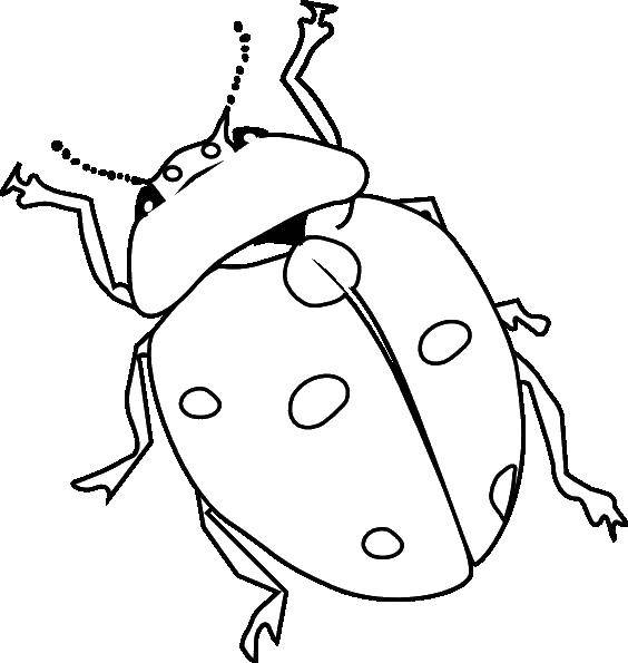 Coloring Beetle skorobey. Category Insects. Tags:  Beetle skorobey.