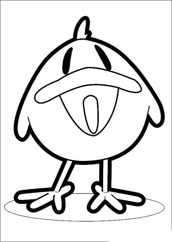 Coloring Bird. Category birds. Tags:  Bird .