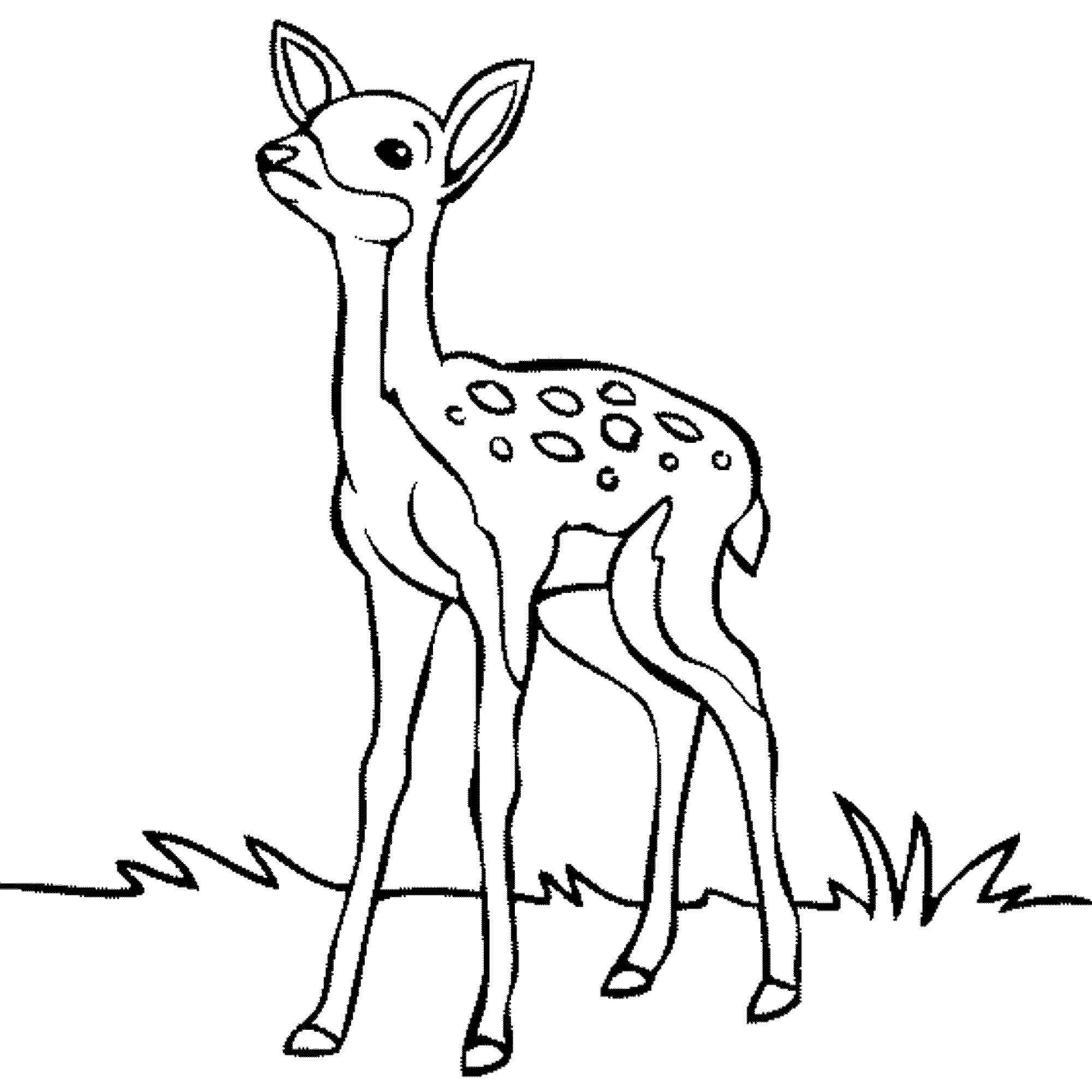 Название: Раскраска Олененок. Категория: Животные. Теги: животные, олень.