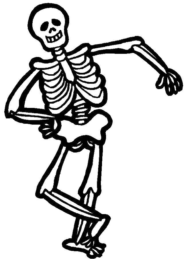 Название: Раскраска Скелет. Категория: скелеты. Теги: скелеты, кости.