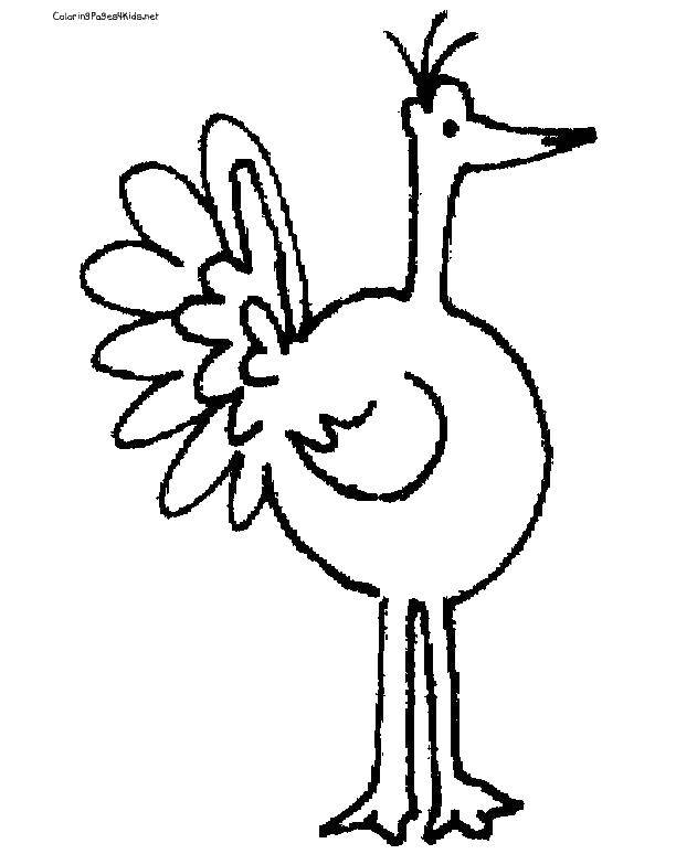 Coloring Ostrich. Category ostrich. Tags:  poultry, ostriches.