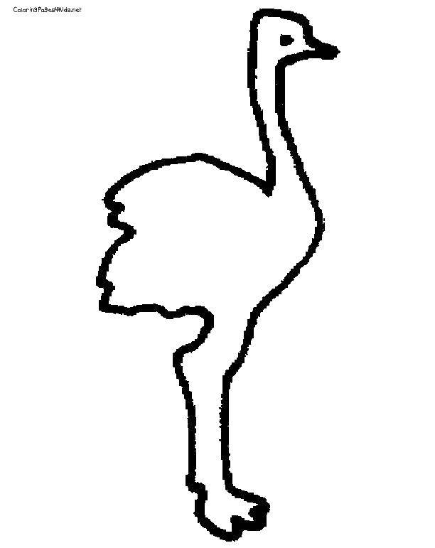 Coloring Ostrich. Category ostrich. Tags:  poultry, ostrich.