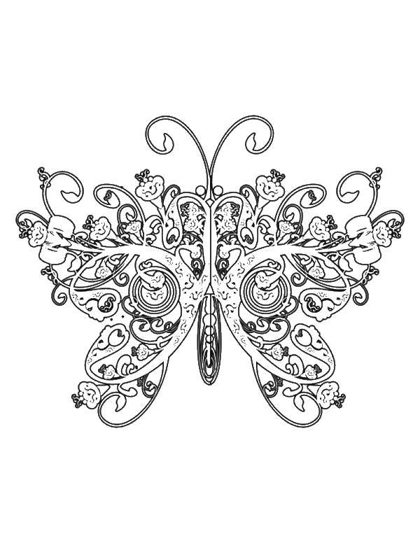 Название: Раскраска Бабочка с узорами. Категория: узоры. Теги: бабочка, узоры, крылья.