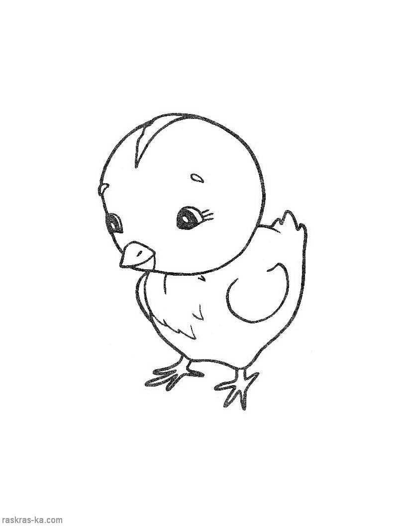 Coloring Figure ceplecha. Category Pets allowed. Tags:  chicken.