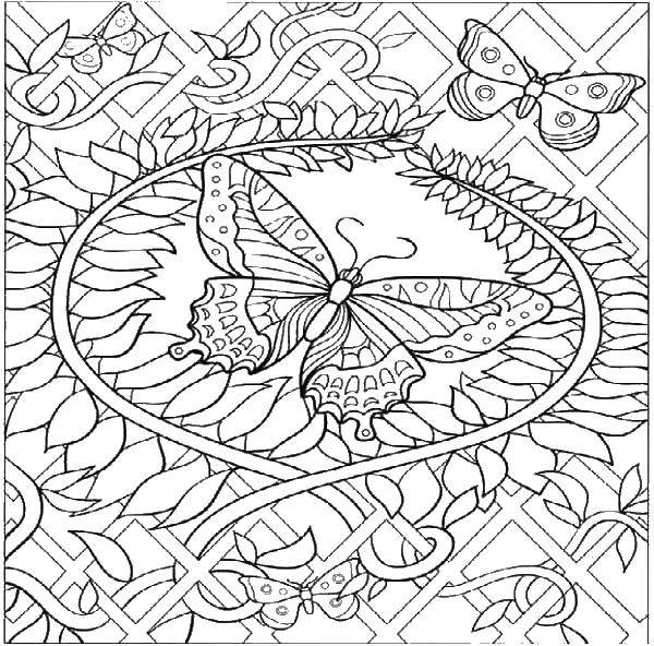 Coloring Butterfly. Category butterflies. Tags:  insects, butterfly, patterns.