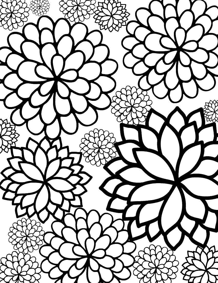 Coloring Patterns. Category patterns. Tags:  antisress, patterns, shapes, colors.