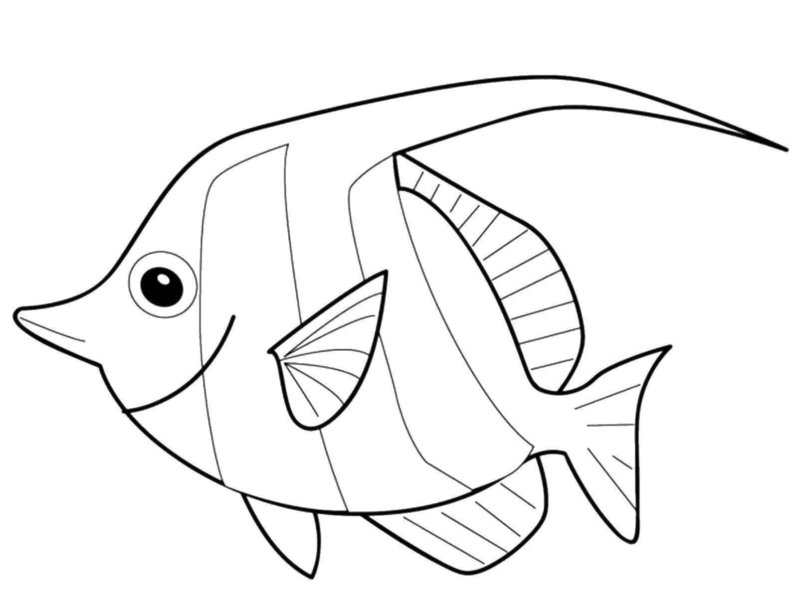 Название: Раскраска Рыба. Категория: рыбы. Теги: рыба.