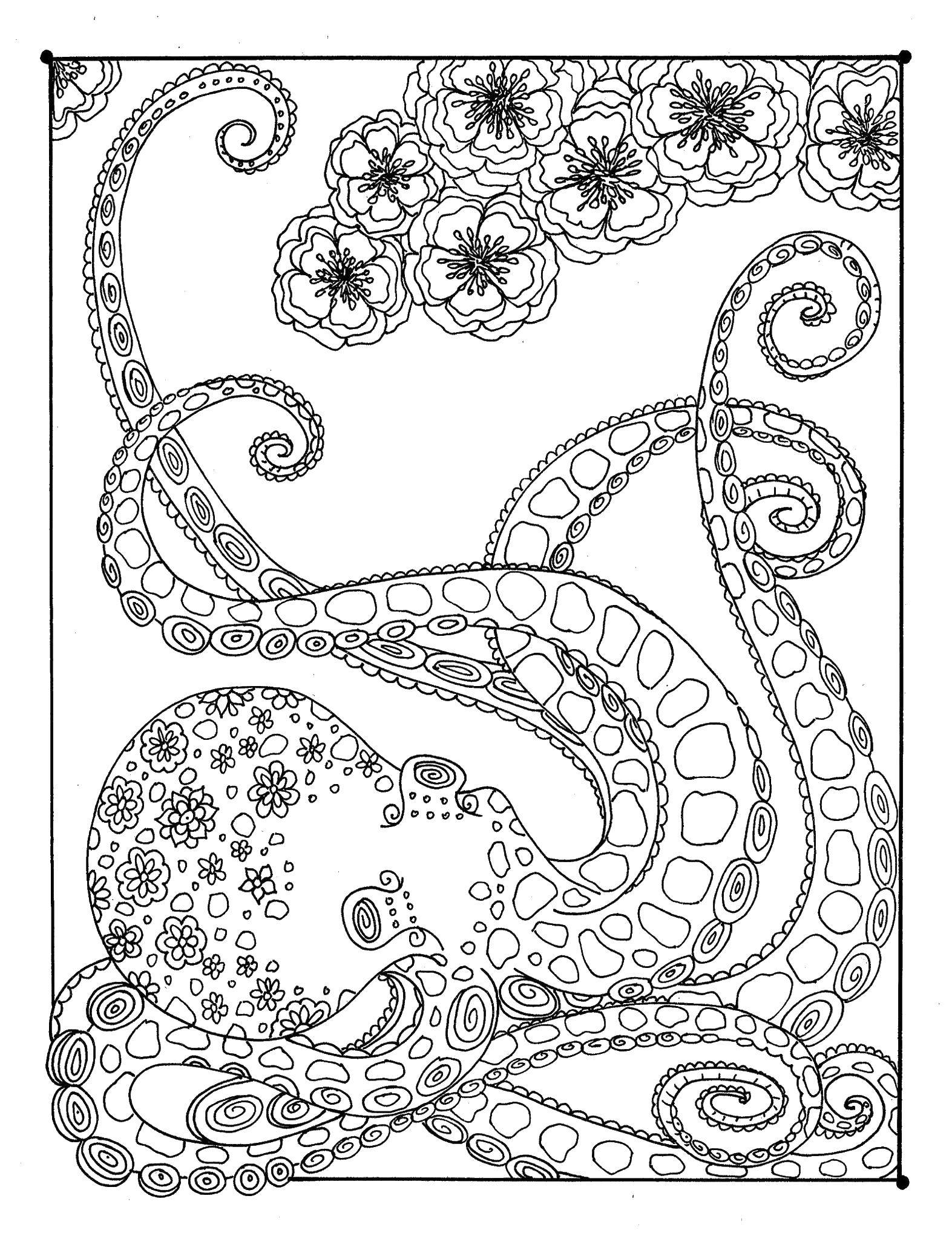 Coloring Patterns, octopus. Category patterns. Tags:  patterns, shapes, stress relief.
