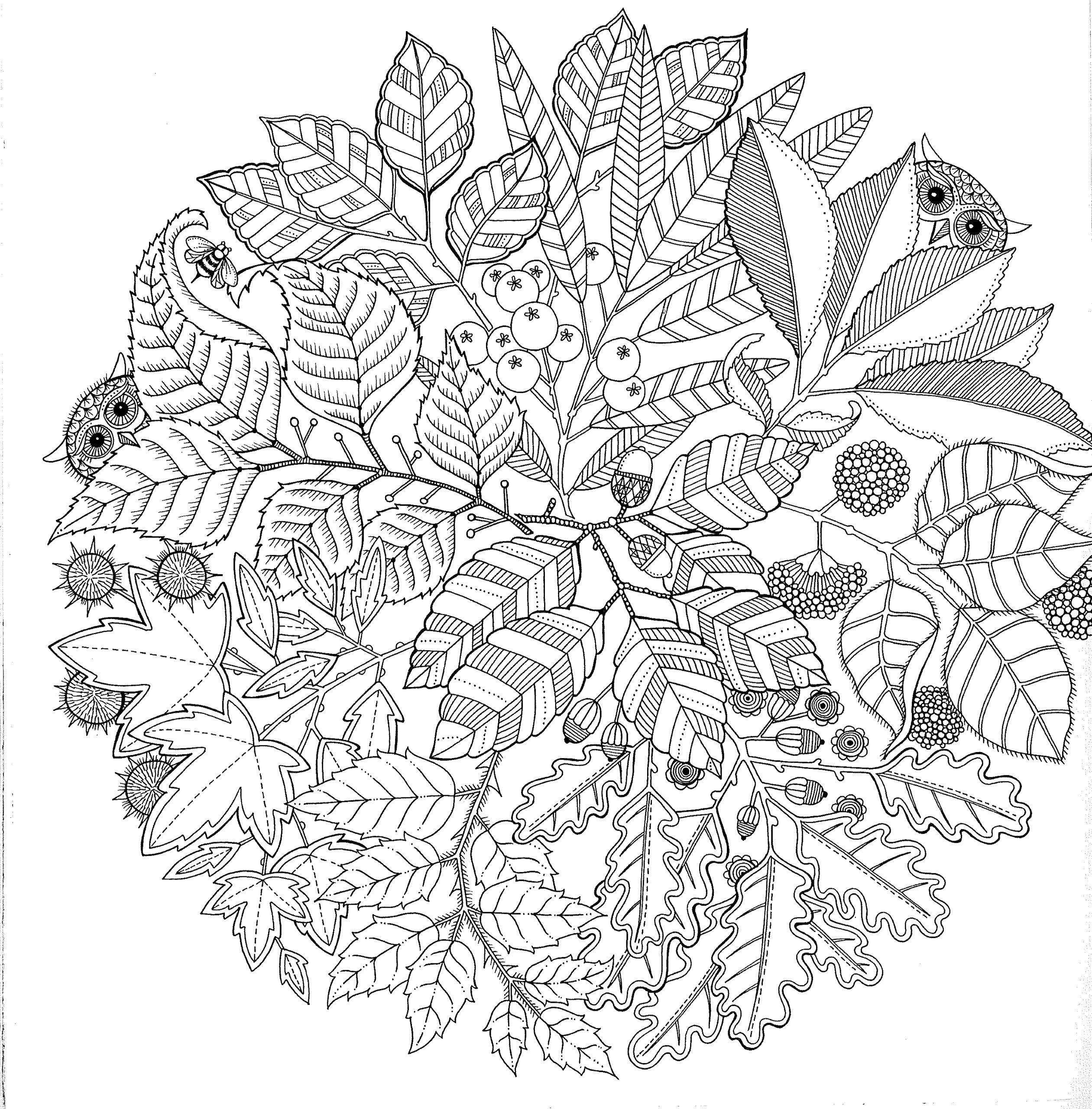 Coloring Patterns. Category patterns. Tags:  patterns, shapes, stress relief, flowers.