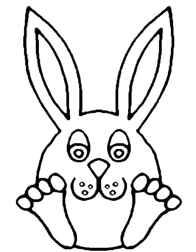 Coloring Bunny. Category Animals. Tags:  animals, Bunny, rabbit.