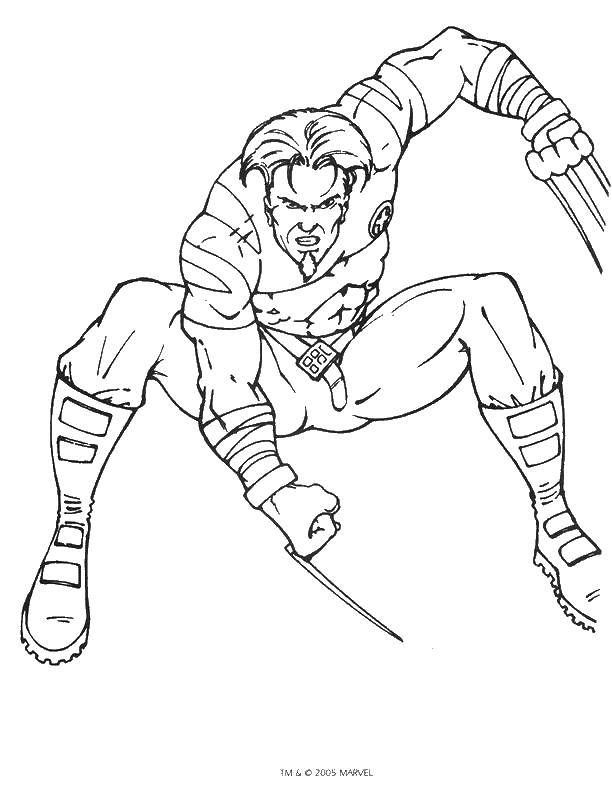 Coloring Wolverine from the comics. Category X-men. Tags:  comics, X-Men, Wolverine.