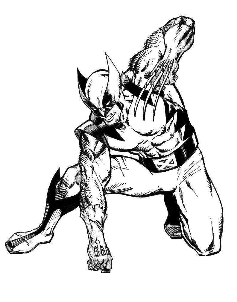 Coloring Fighter. Category X-men. Tags:  Comics, X-Men.