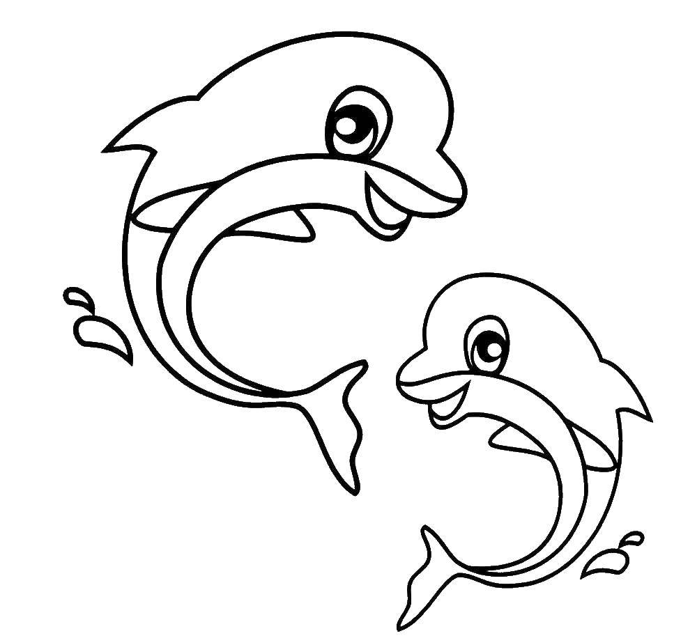 Coloring A pair of cheerful dolphins. Category Animals. Tags:  animals, dolphins.
