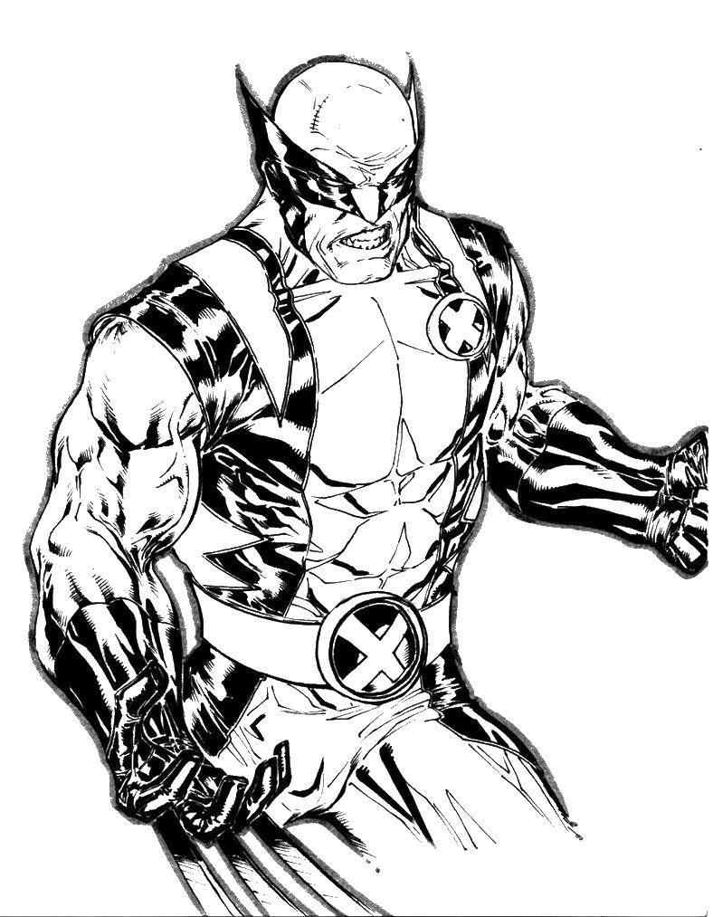 Coloring Wolverine, Logan. Category X-men. Tags:  Comics, X-Men.