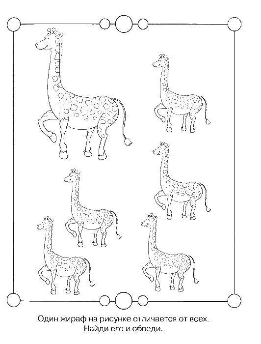 Название: Раскраска Найди лишнего жирафа. Категория: ребусы для детей. Теги: Обучающая раскраска, логика.