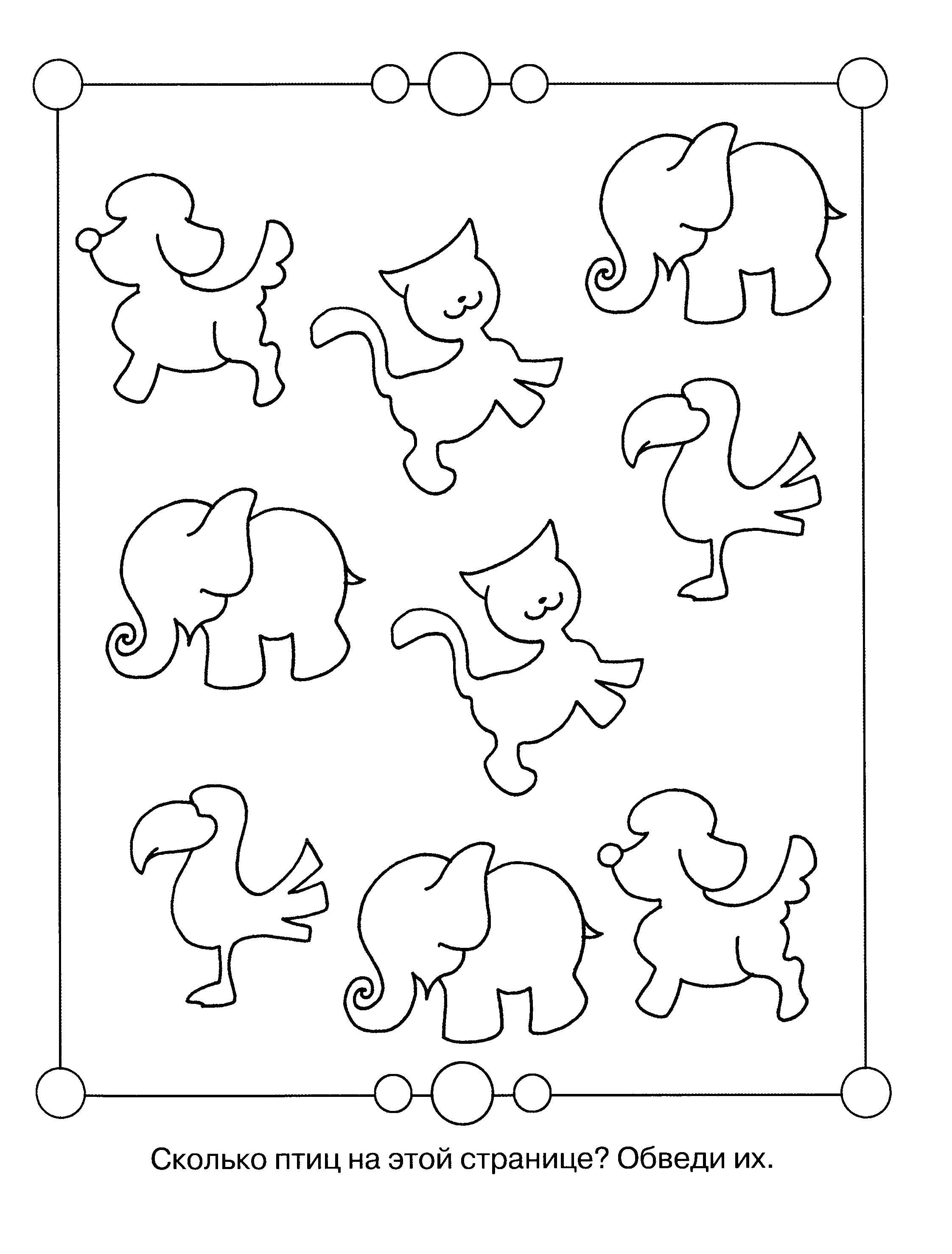 Coloring Find a pair of each animal. Category riddles for kids. Tags:  Teaching coloring, logic.