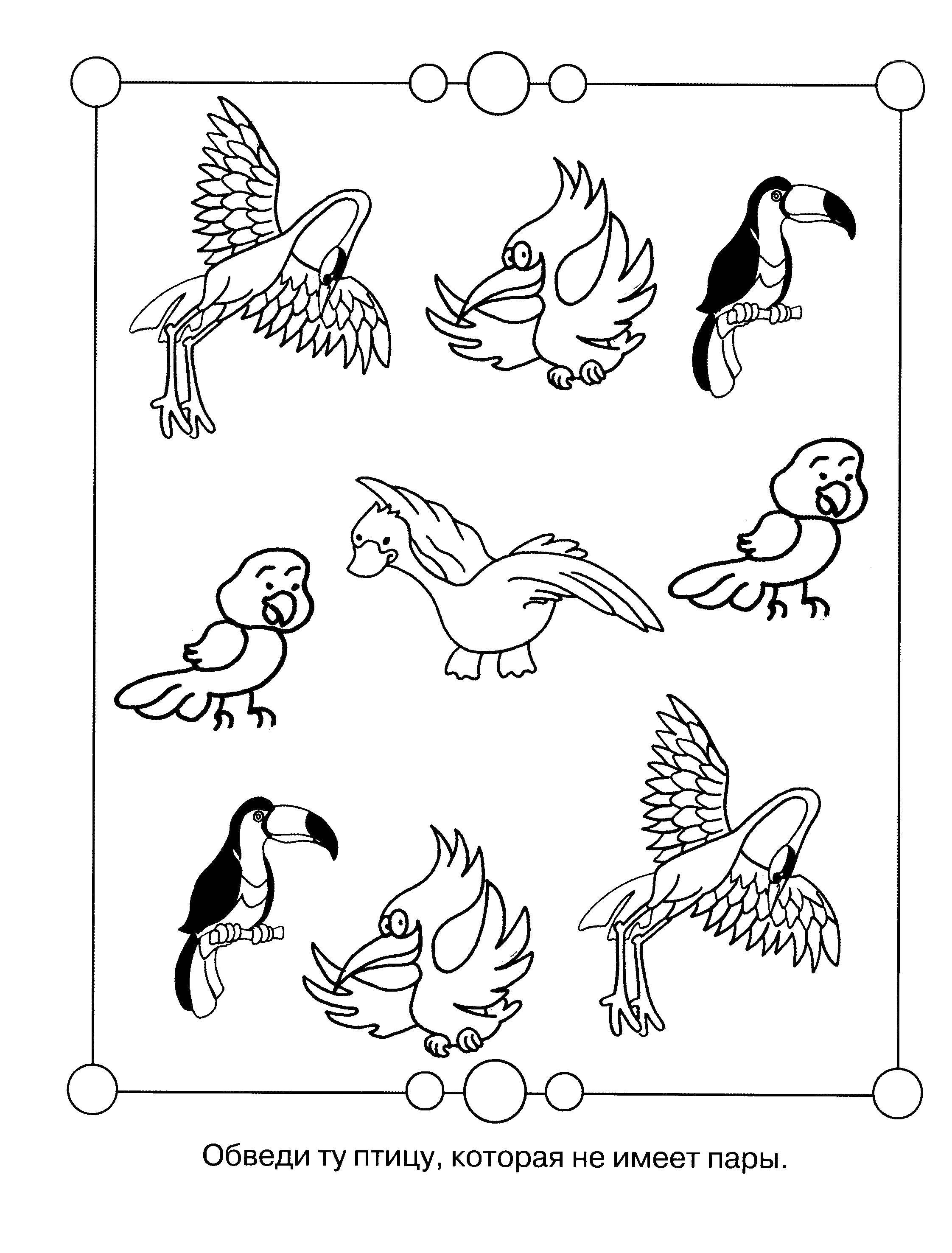 Coloring Circle the bird that has no pair. Category riddles for kids. Tags:  Teaching coloring, logic.