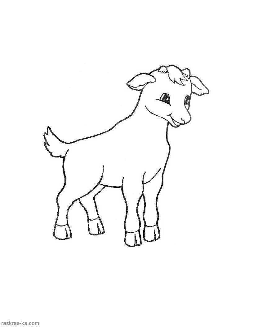 Coloring The figure of a lamb. Category Pets allowed. Tags:  Lamb.