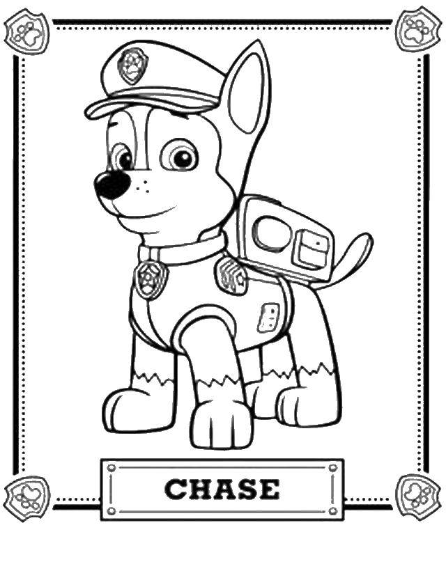 Название: Раскраска Щенок чейз. Категория: щенячий патруль. Теги: Щенячий патруль.