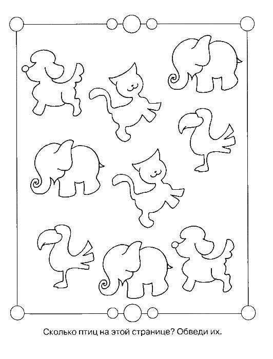 Coloring Count the birds. Category riddles for kids. Tags:  Math, counting, logic.