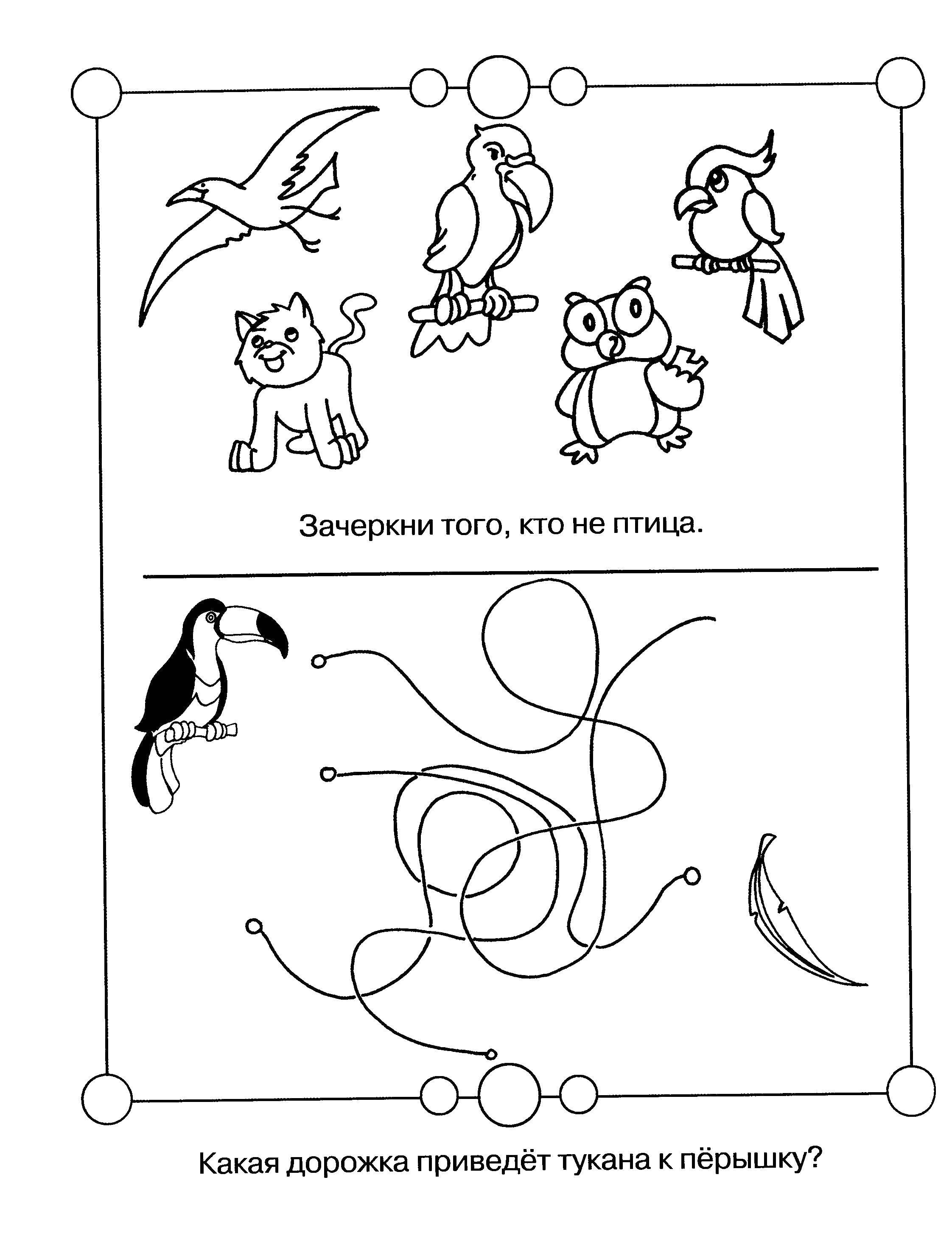 Coloring Cross out the unnecessary. Category riddles for kids. Tags:  Teaching coloring, logic.