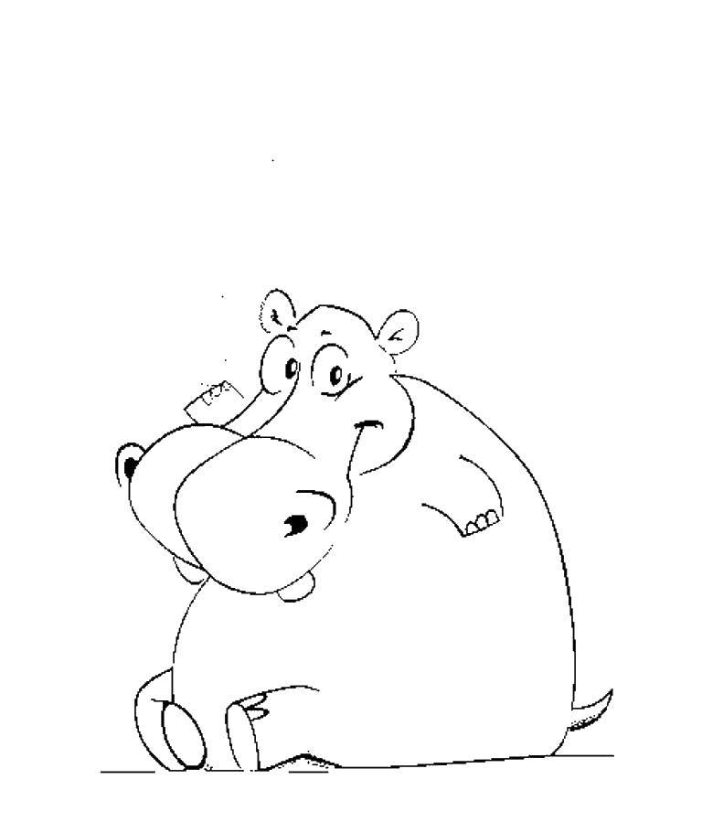 Coloring Hippo. Category Animals. Tags:  Hippopotamus, animals.
