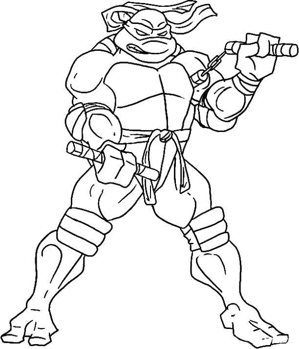 Coloring Michelangelo.. Category ninja . Tags:  Comics, Teenage Mutant Ninja Turtles.