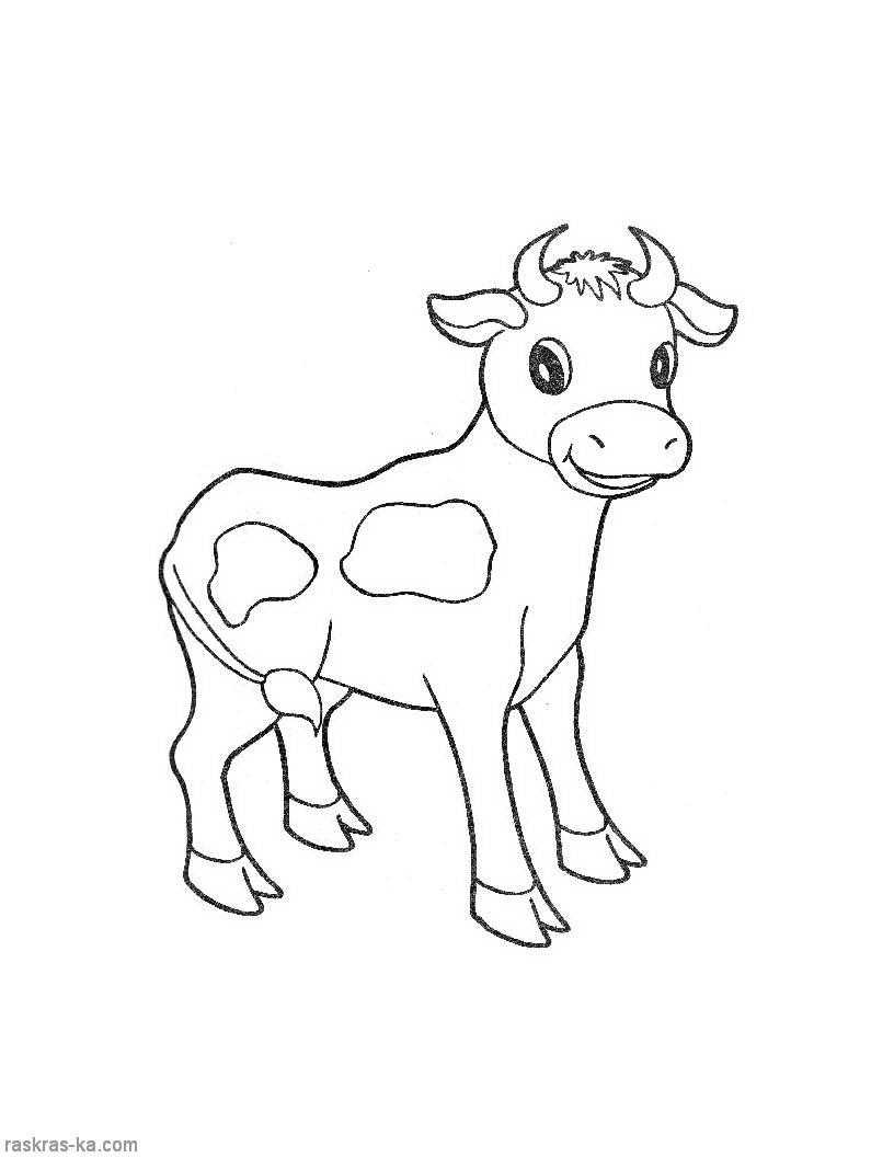 Название: Раскраска Рисунок бычок. Категория: домашние животные. Теги: бык.