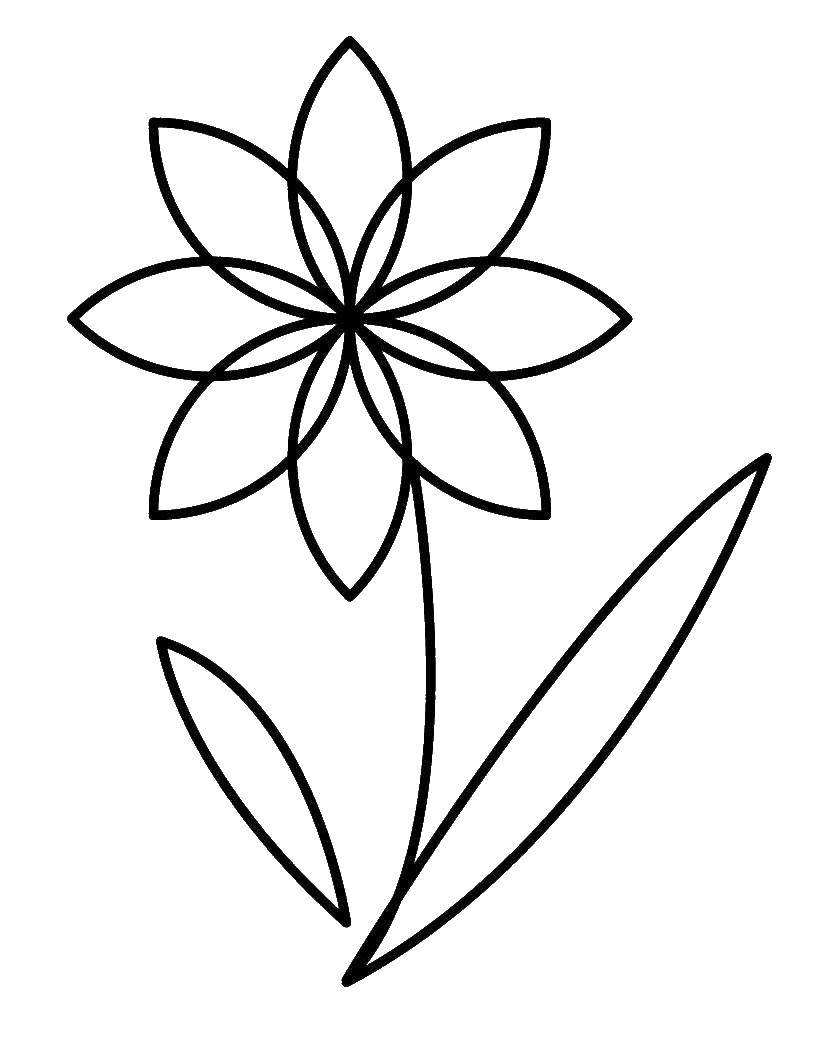 Coloring Simple flower. Category flowers. Tags:  flowers, plants, flower.