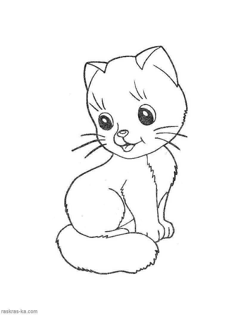 Coloring Drawing kitties. Category Pets allowed. Tags:  cat, cat.