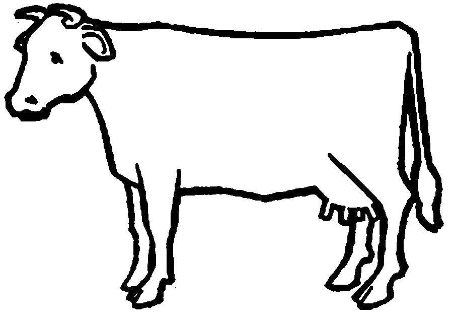Розмальовки  Корова.. Завантажити розмальовку Тварини, корова.  Роздрукувати ,Тварини,