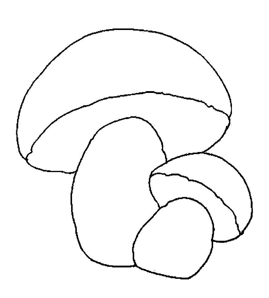Название: Раскраска Аппетитные грибы. Категория: грибы. Теги: Грибы.