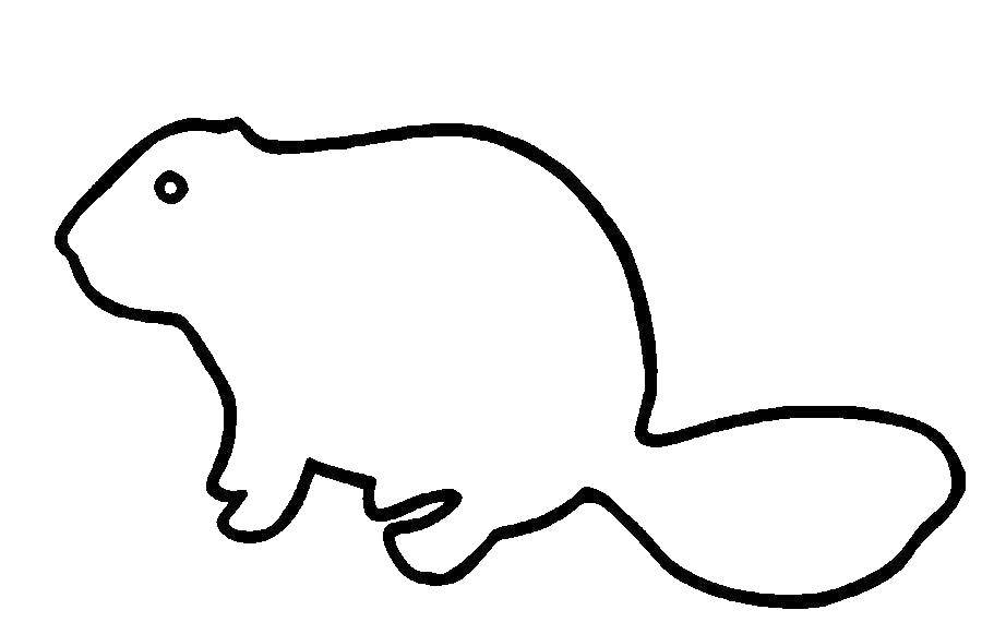Coloring Beaver. Category Stencils for cutting out. Tags:  template, stencil, beaver.