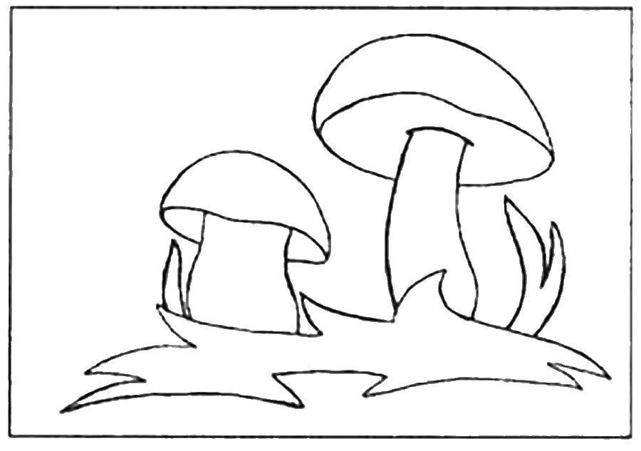 Название: Раскраска Грибочки в траве. Категория: грибы. Теги: Грибы.