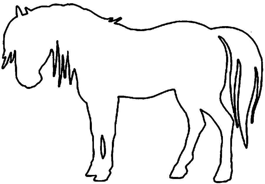 Coloring Horse. Category Stencils for cutting out. Tags:  template, stencil, horse.