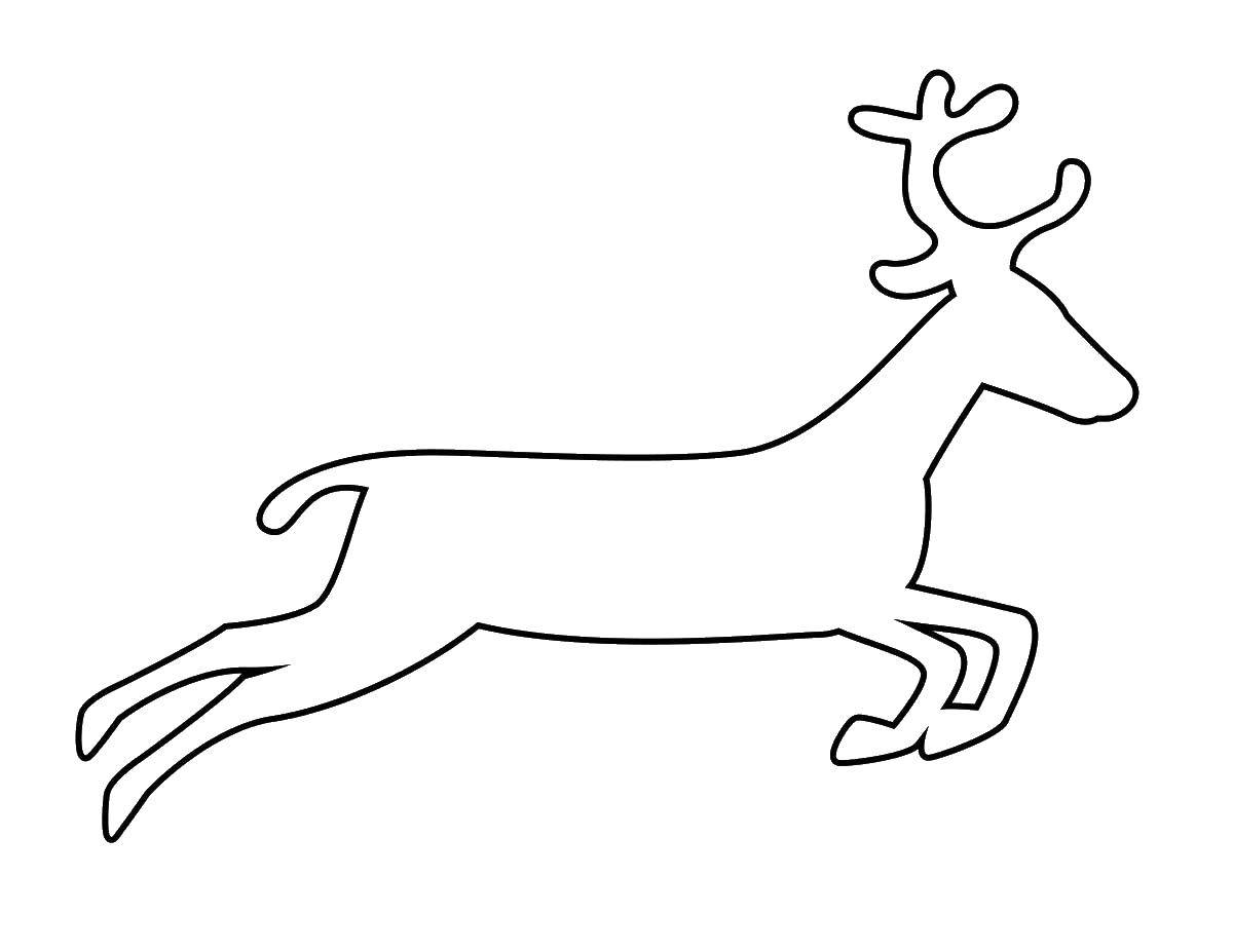 Coloring Deer. Category Stencils for cutting out. Tags:  template, stencil, deer.