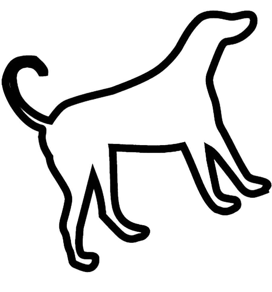 Название: Раскраска Шаблон собаки. Категория: собаки. Теги: собаки, трафарет, шаблоны.