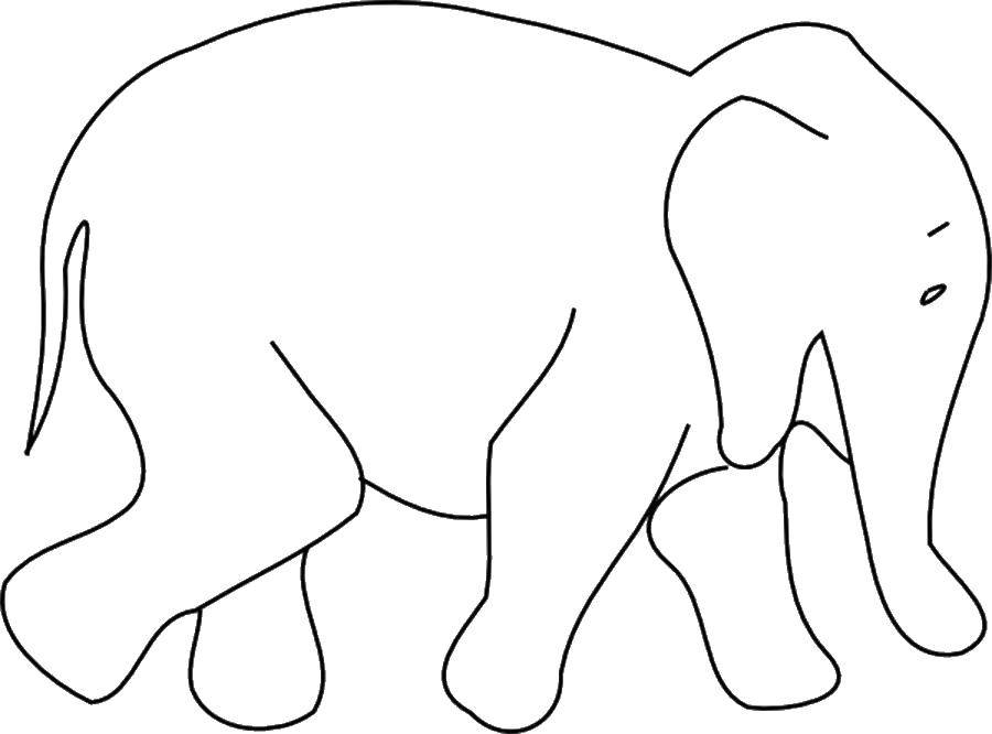 Название: Раскраска Слон. Категория: Животные. Теги: Животные, слон, хобот.