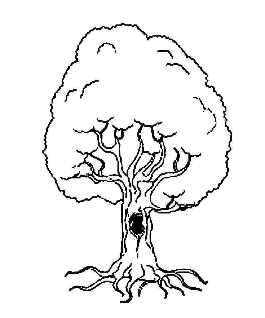 Дерево с корнями раскраска