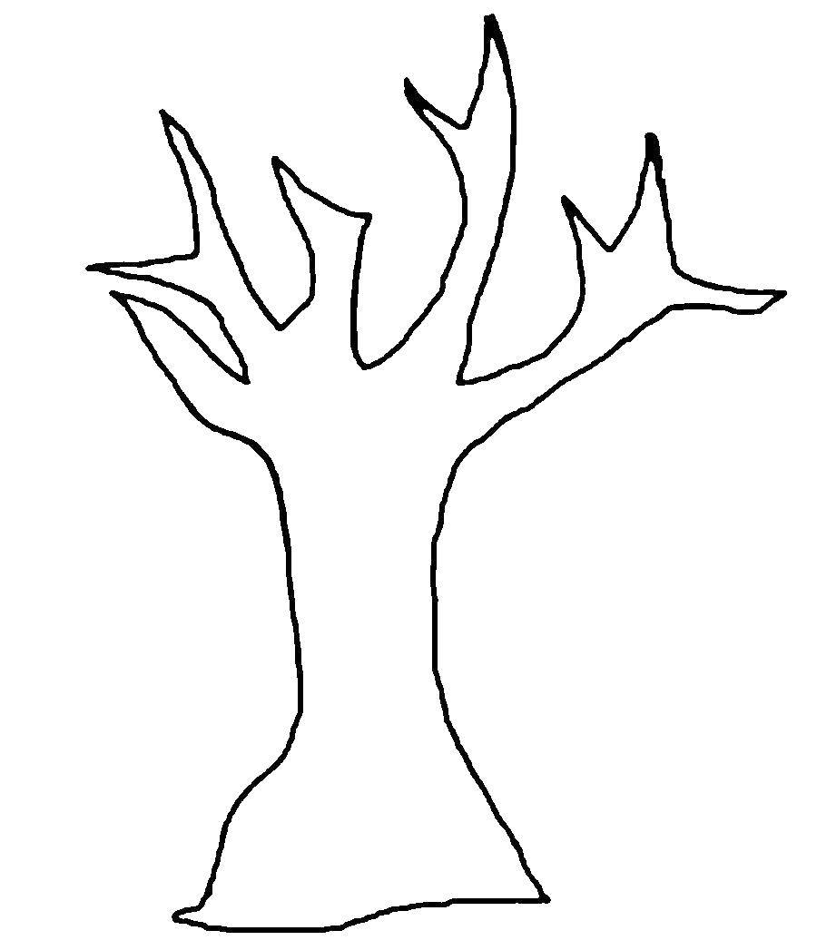 Название: Раскраска Кора дерева. Категория: дерево. Теги: дерево, кора.