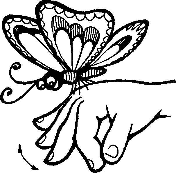 Название: Раскраска Бабочка на руке. Категория: бабочки. Теги: Бабочка.