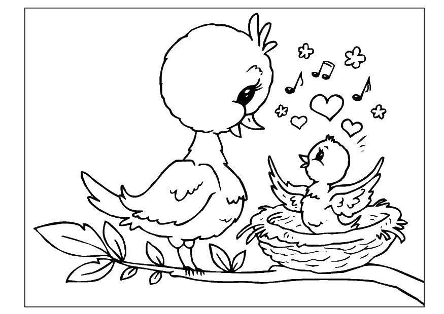Coloring Mother bird with chick. Category family animals. Tags:  Family, parents, children.