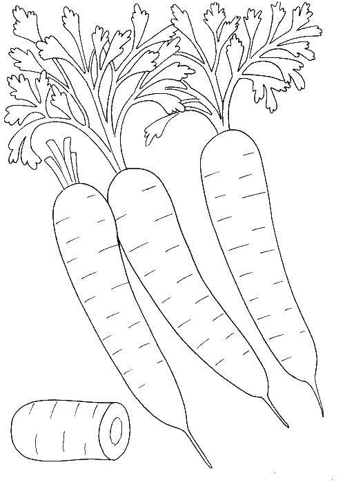 Название: Раскраска Морковка.. Категория: овощи. Теги: Овощи, морковь.
