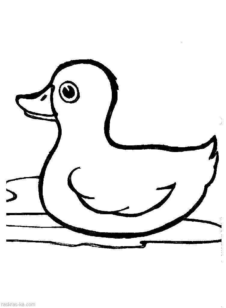Название: Раскраска Рисунок  утка. Категория: домашние животные. Теги: утка.