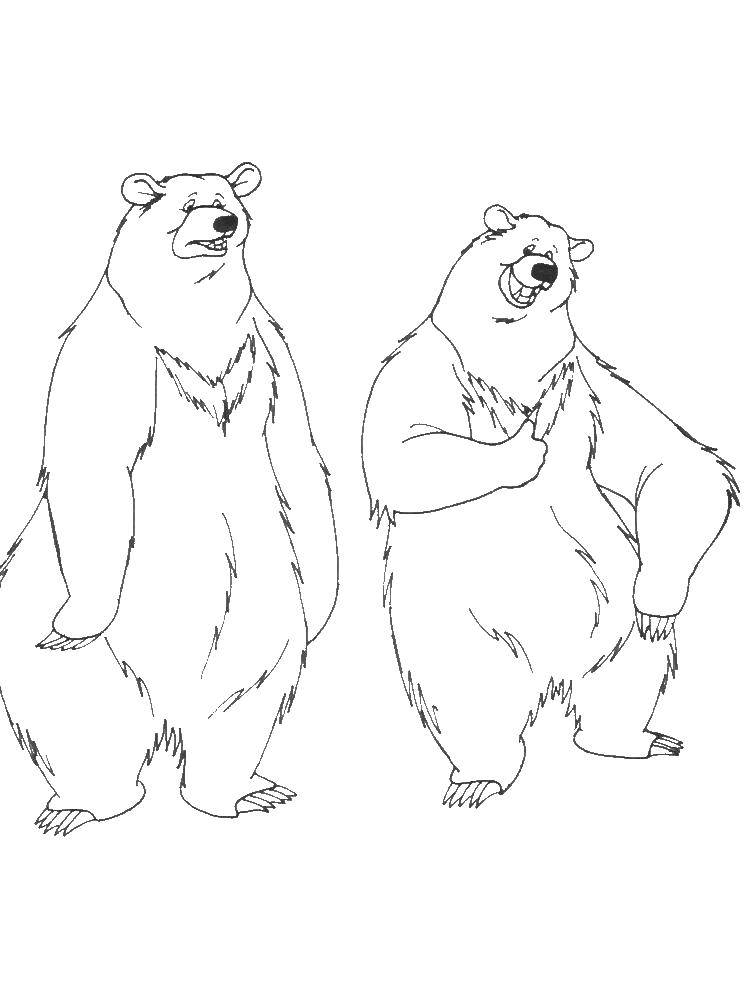 Coloring Sad and funny bears. Category Animals. Tags:  Animals, bear.
