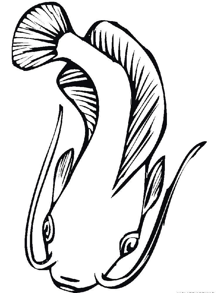 Название: Раскраска Морской сом. Категория: рыбы. Теги: Подводный мир, рыба.