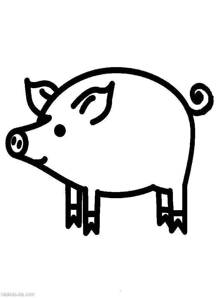 Coloring Figure pig. Category Pets allowed. Tags:  Pig, Piglet.